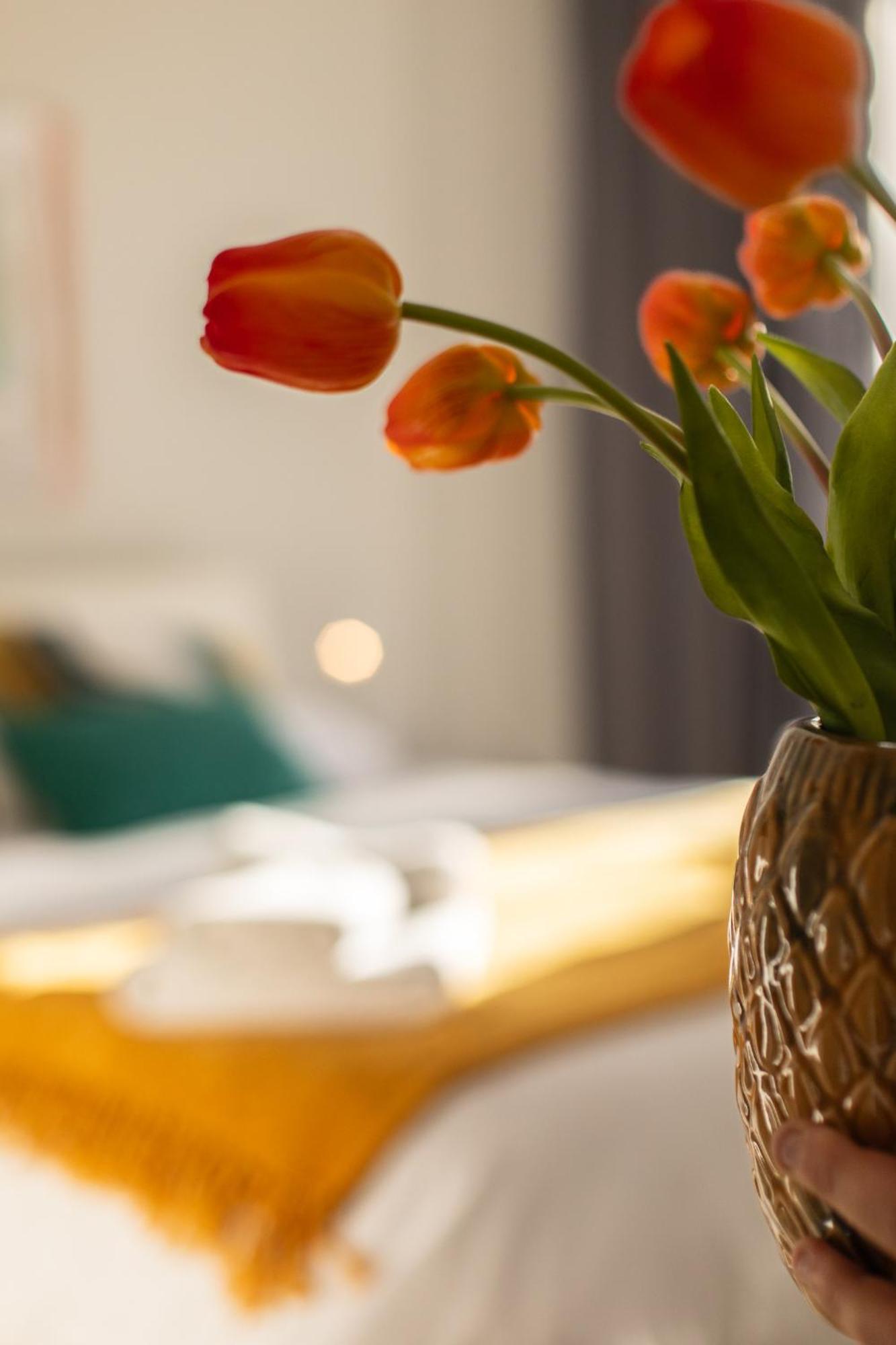 Veigas De Iria - Apartamento Turistico Vut Padrón Esterno foto